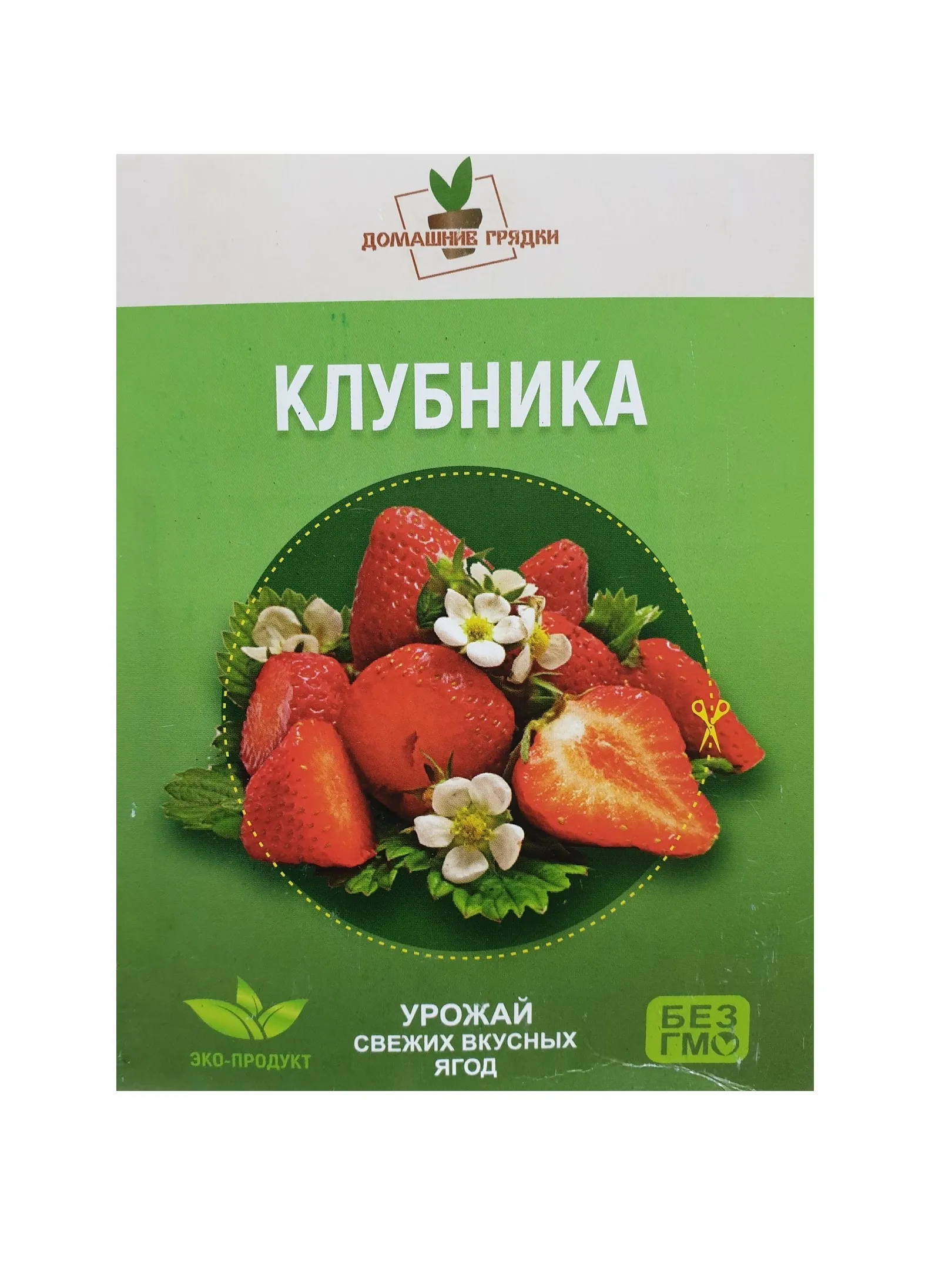 Домашняя ягодница Домашние грядки Клубника