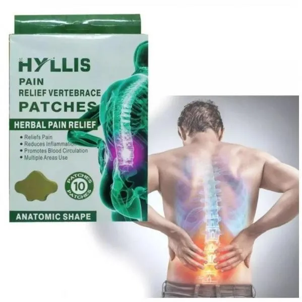 Пластыри для спины обезболивающие Hyllis 10 шт